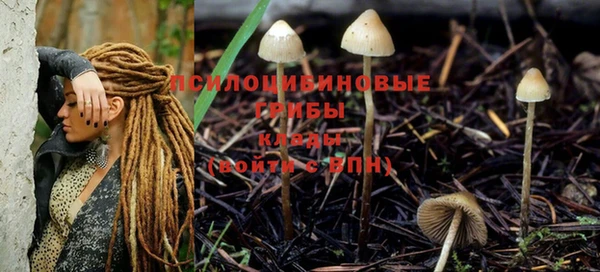 эйфоретик Липки