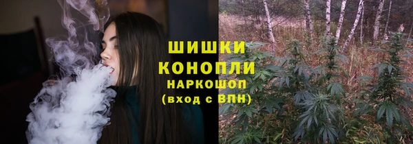 эйфоретик Липки
